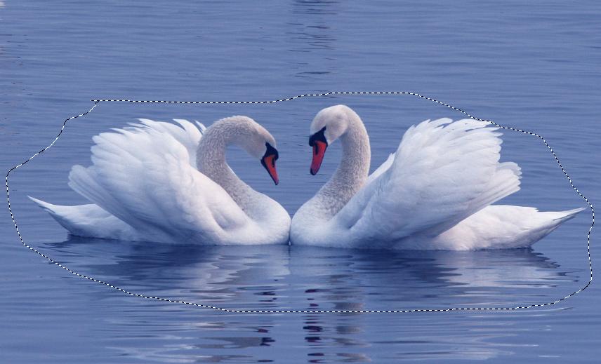 抠图教程ps5,ps计算抠图区域的面积