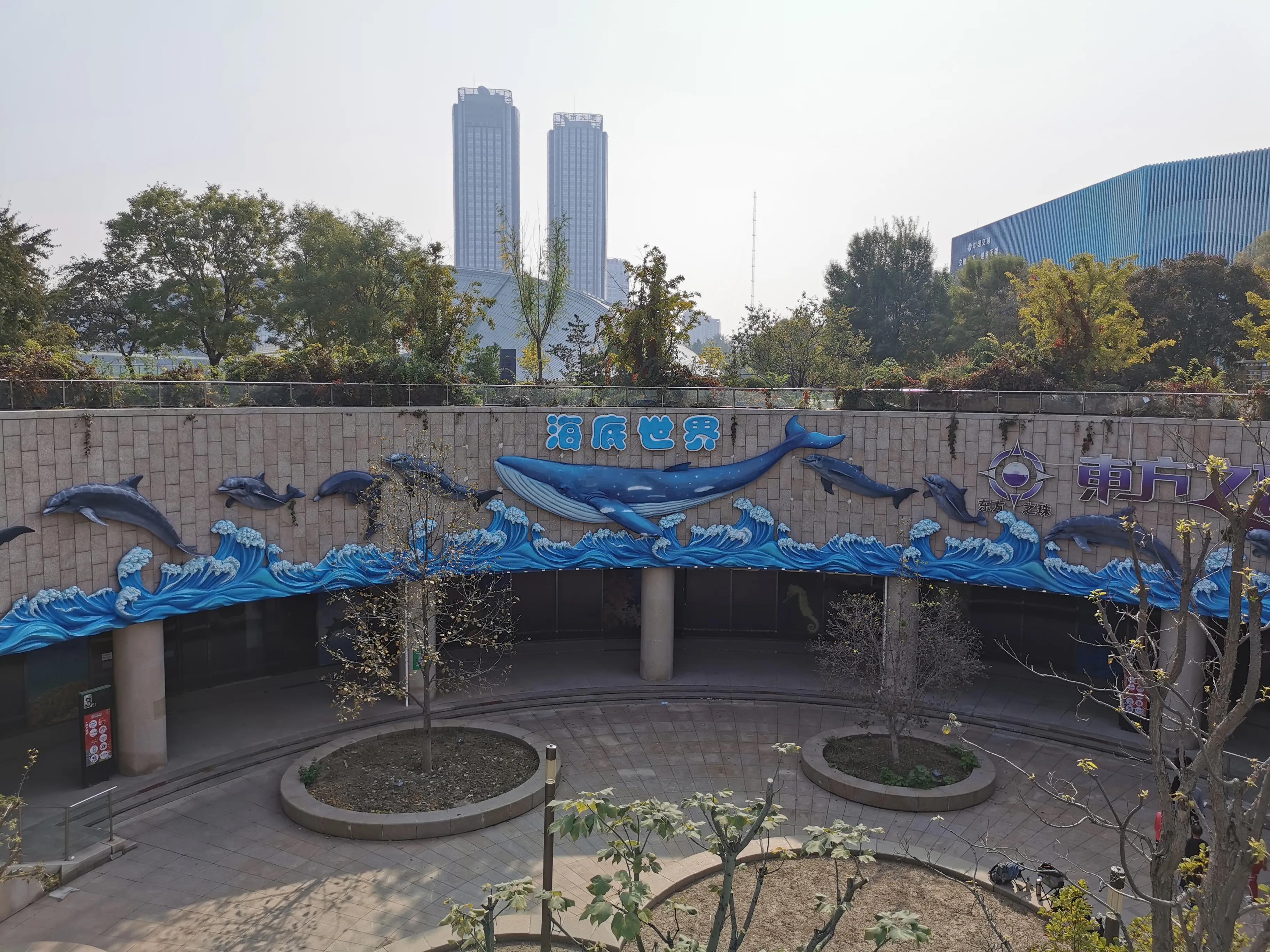 璧拌繘娴锋磱鍔ㄧ墿娴峰簳涓栫晫,鍙傝娴峰簳涓栫晫娴锋磱鍔ㄧ墿瑙嗛