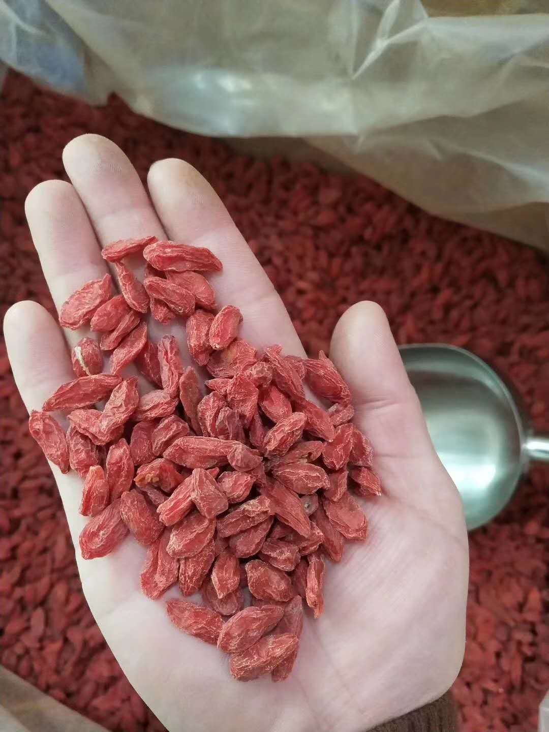 鹿茸人参灵芝枸杞泡酒配方和功效,人参鹿茸枸杞灵芝泡酒的最佳配方