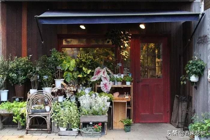 日本东京花店推荐,超美的花店