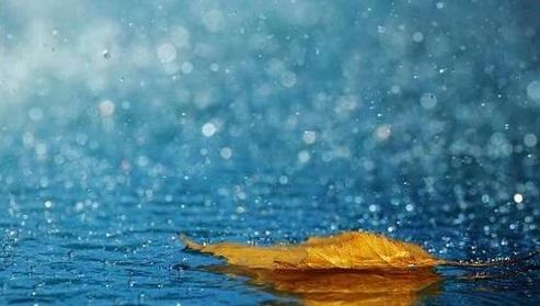 万里云罗一雁飞打一生肖,万里云罗一雁飞指什么意思