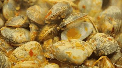 中国动物死亡事件,全国每年有多少动物死亡