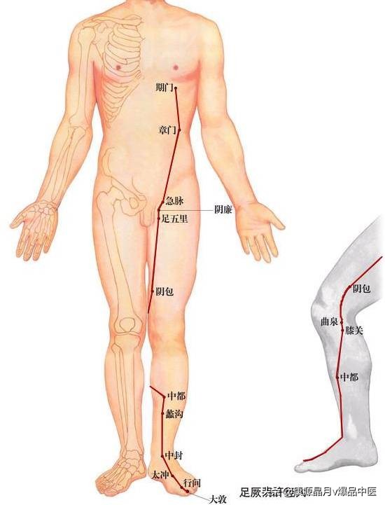 天下无疾,十二经脉流注图总结规律
