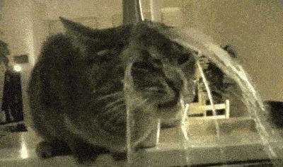 火爆全网的泰国产品,泰国护肤品好还是国内的好