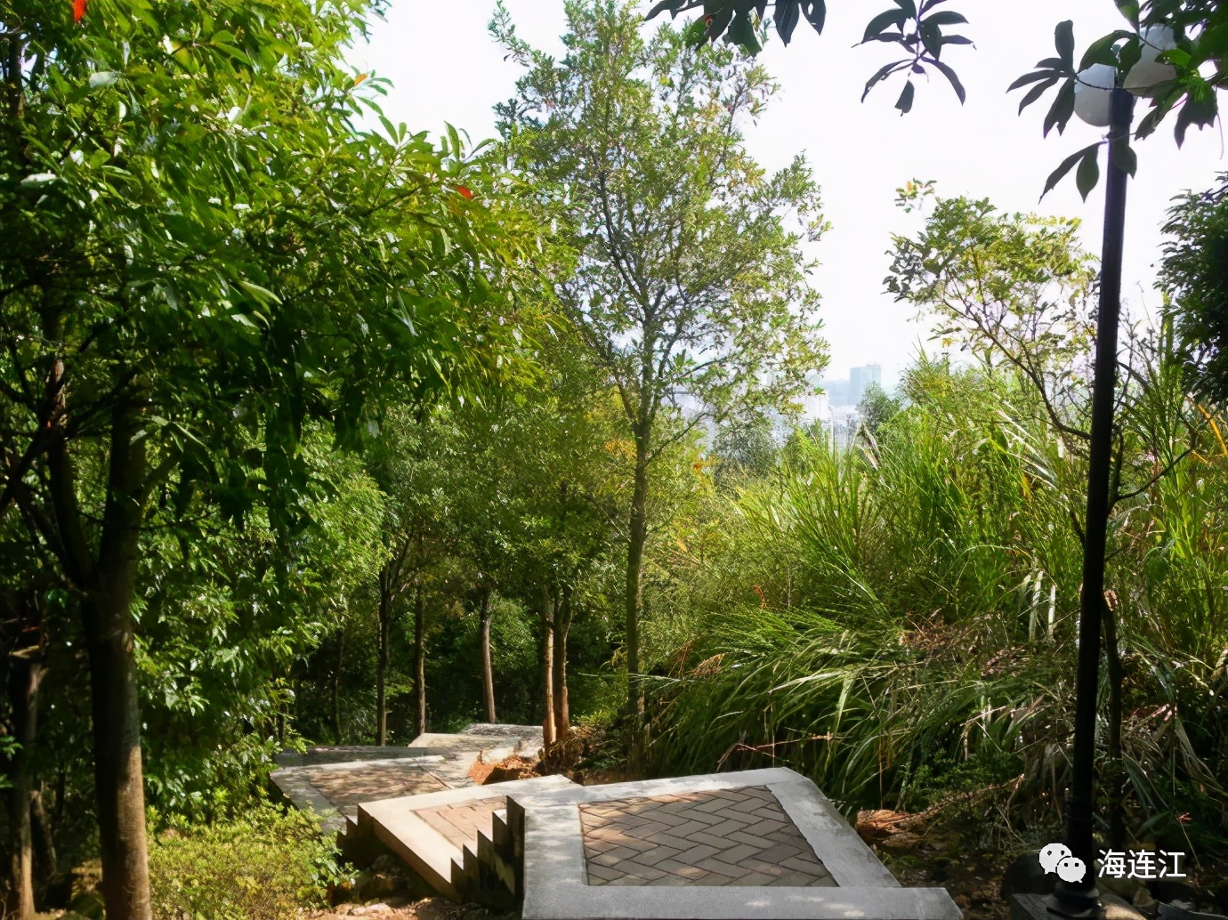 本周日!连江的你欲往哪座山头?