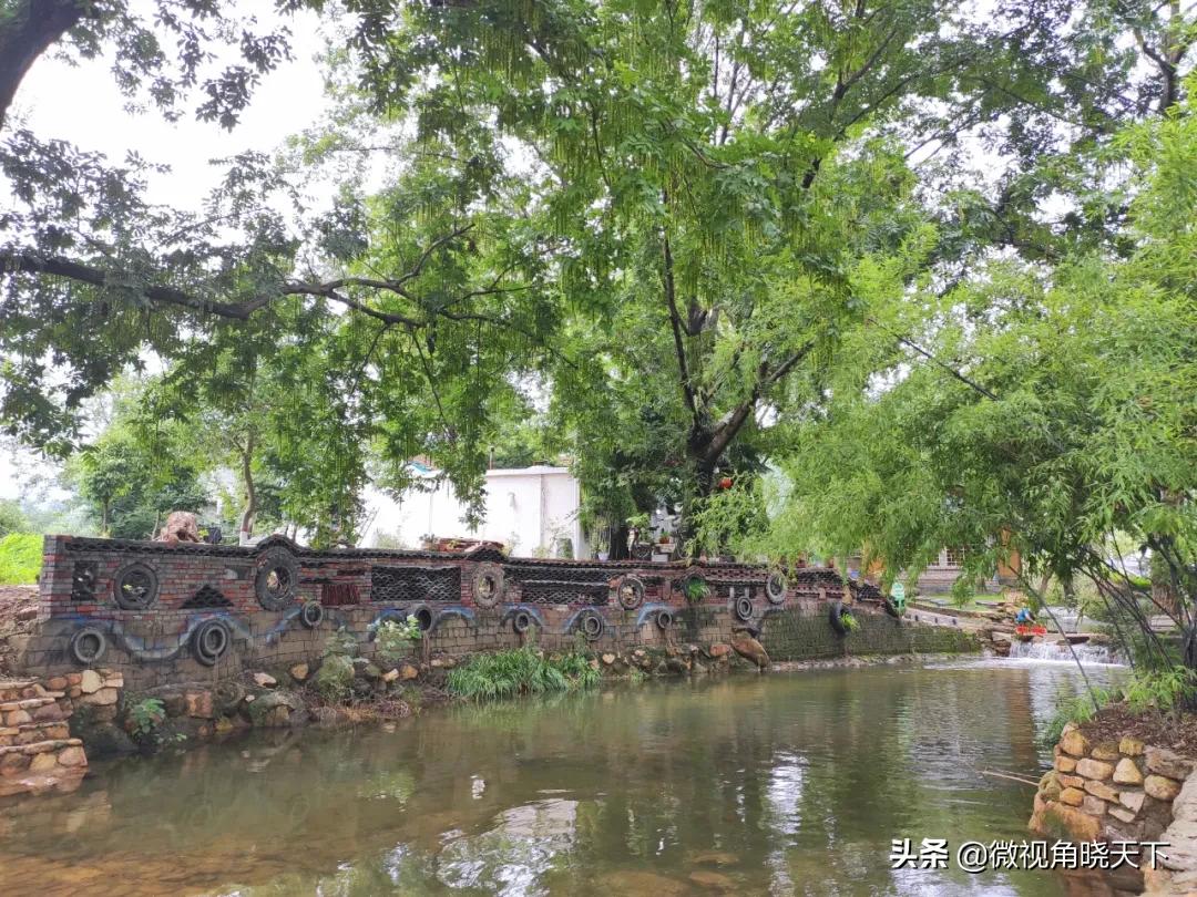 带你看看信阳的茶山美景,信阳浉河茶山直播