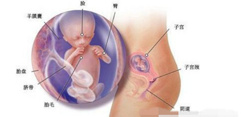 你给子宫洗澡了吗？