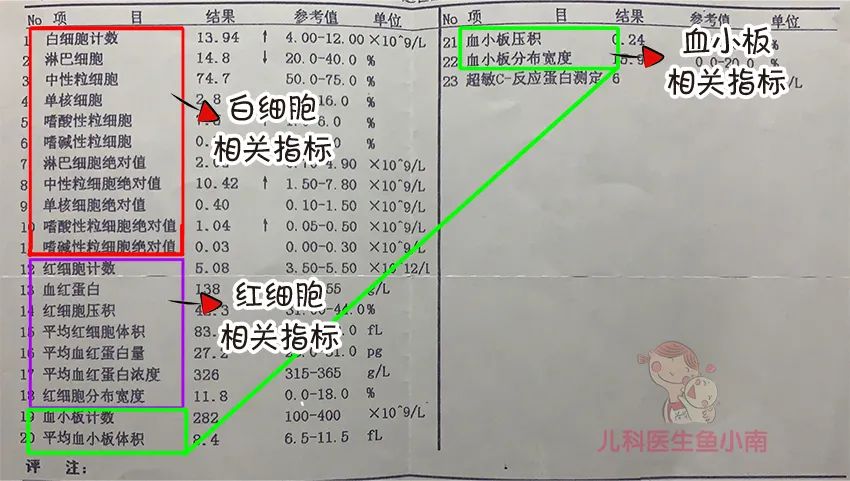 爸妈必学！3分钟教你看懂血常规，你也能成为半个儿科医生