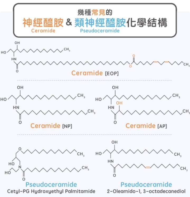 药学博士：网红成分神经酰胺究竟有啥用？揭开神秘面纱！（收藏）