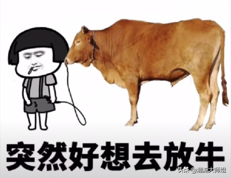 泰国蛇毒面膜哪款好用,泰国蛇毒面膜真的全是激素吗