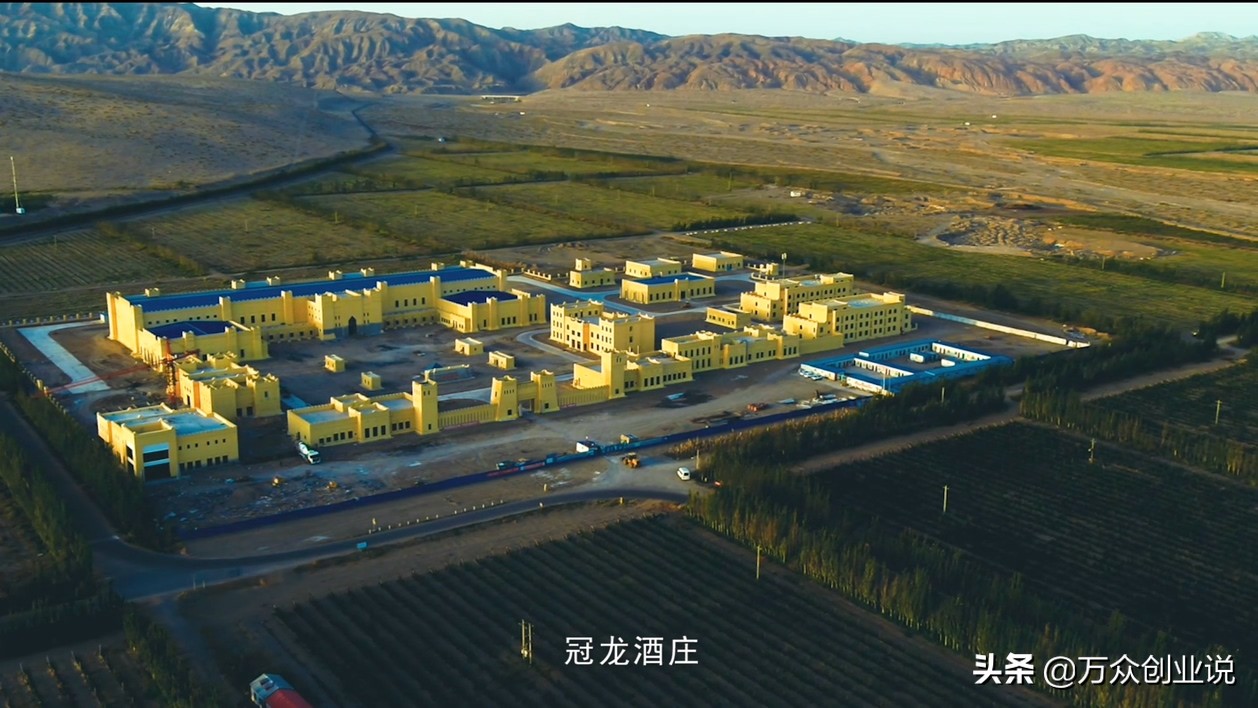 金恪集团王建峰的个人资料,金恪集团王建峰出生年月