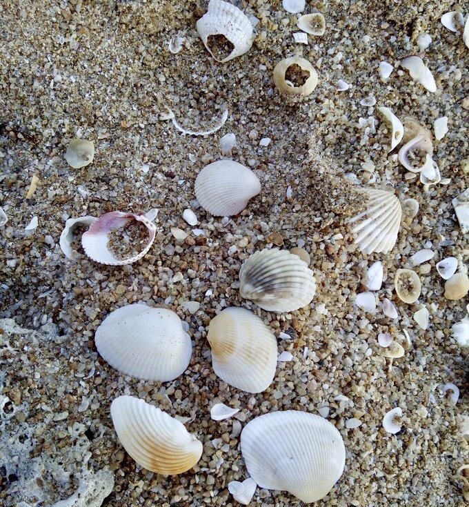 三亚自由行详细攻略,三亚自由行的详细攻略