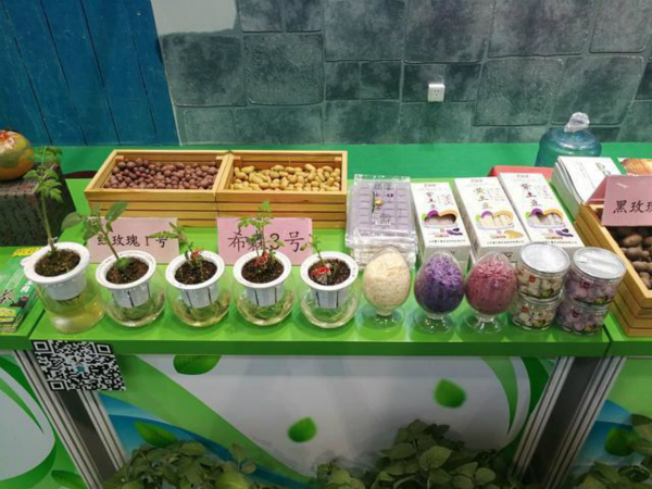 北京科技周开幕视频,北京科技周2020会场