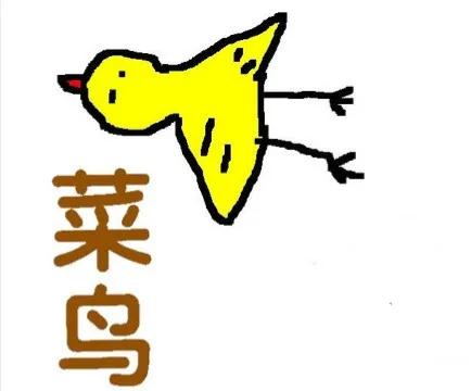 中国足球之南腔北调