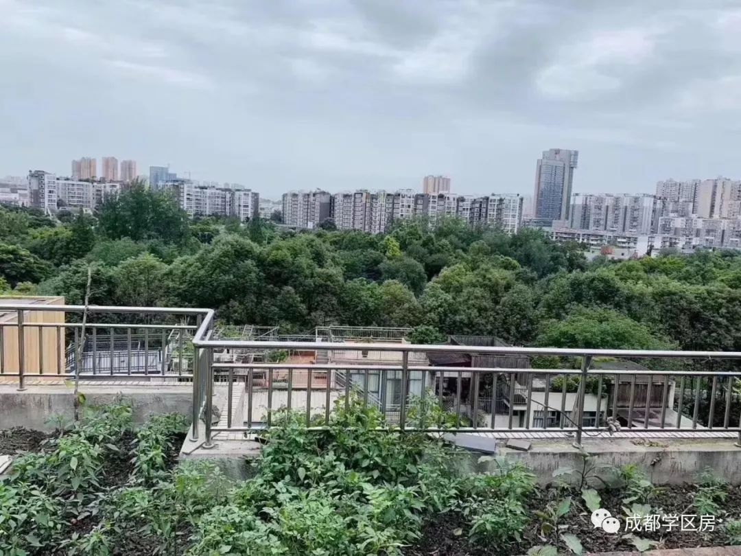 成师附小分校有哪些,成师附小哪个分校最好