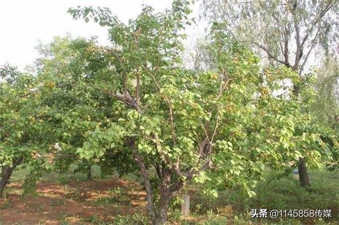 蓟县渔桥水库吃鱼,蓟州于桥水库吃鱼