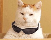 怎样选择国际班?做到这些家长其实不必太纠结