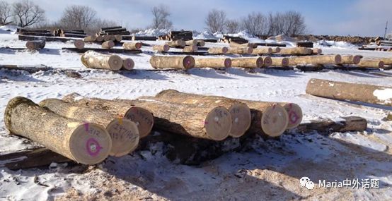 美国硬木干货价格,北美硬木排行