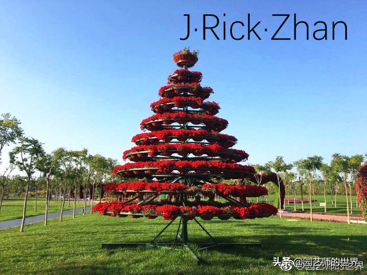 怎么种植草坪不长杂草,如何养好草坪