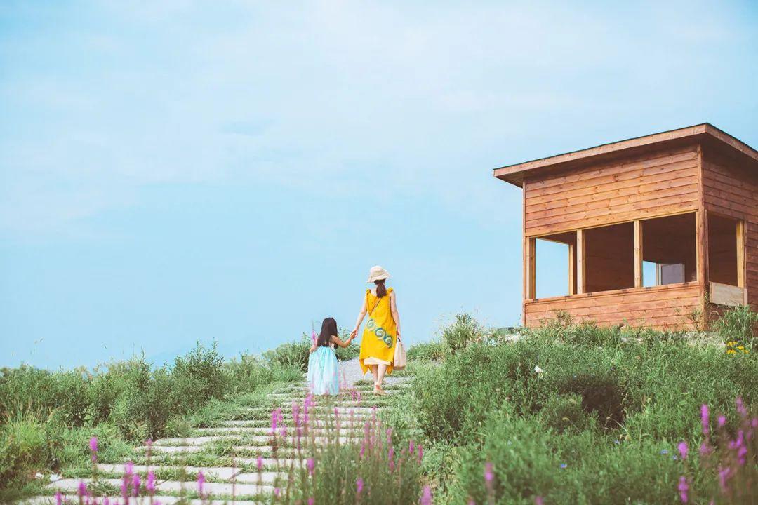 家里改善风水养什么好,一家人要养好的三种风水