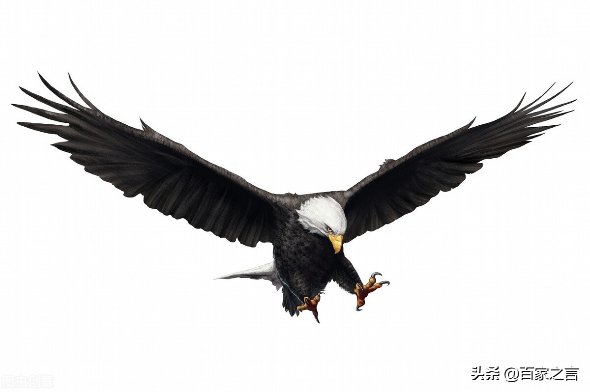 海东青民间故事,民间故事海东青视频