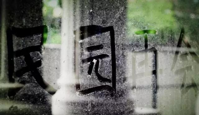 天津足球老白队队员,天津三十年发展史