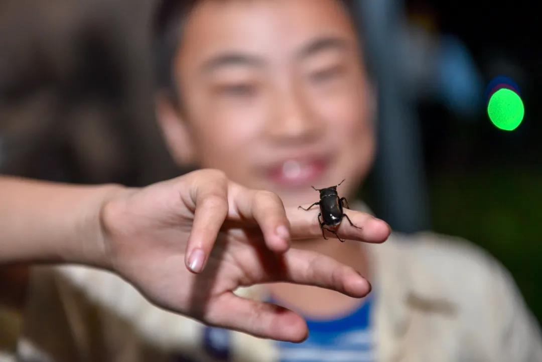 自然博物馆跟着孩子探索世界,自然博物馆跟着孩子探索