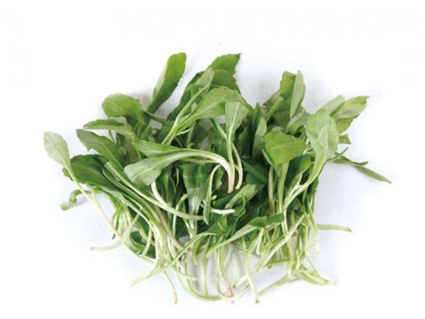 祛体内湿毒的最好最快的方法,如何祛湿毒最好的方法