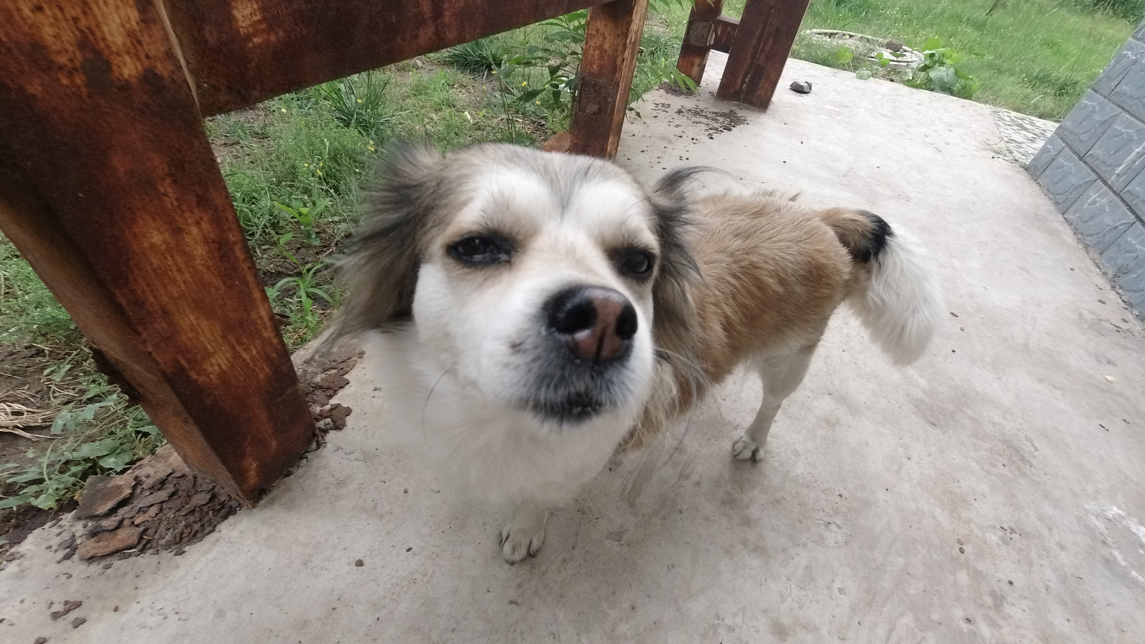 大疆OSMOACTION评测:性价比出众的Vlog新宠,对标GoPro毫不遮掩