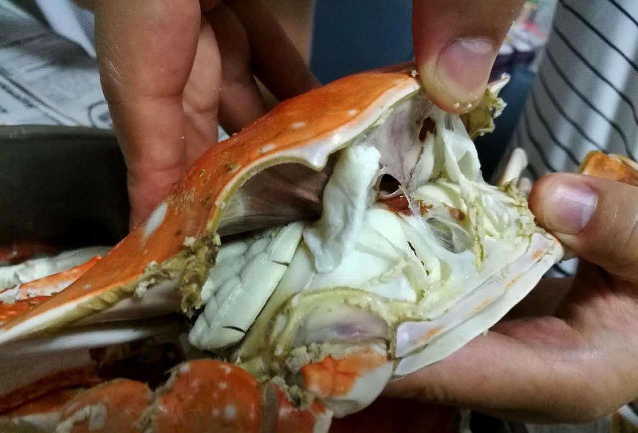 海鲜冷知识模板,软壳蟹要吃什么