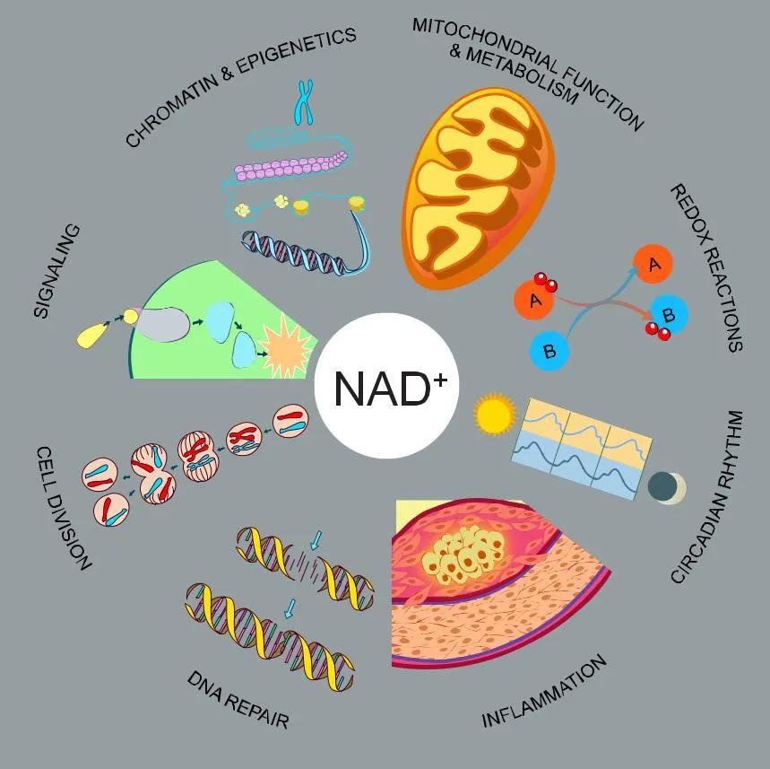 新冠病毒感染者有眼部症状吗,新冠病毒眼部传播