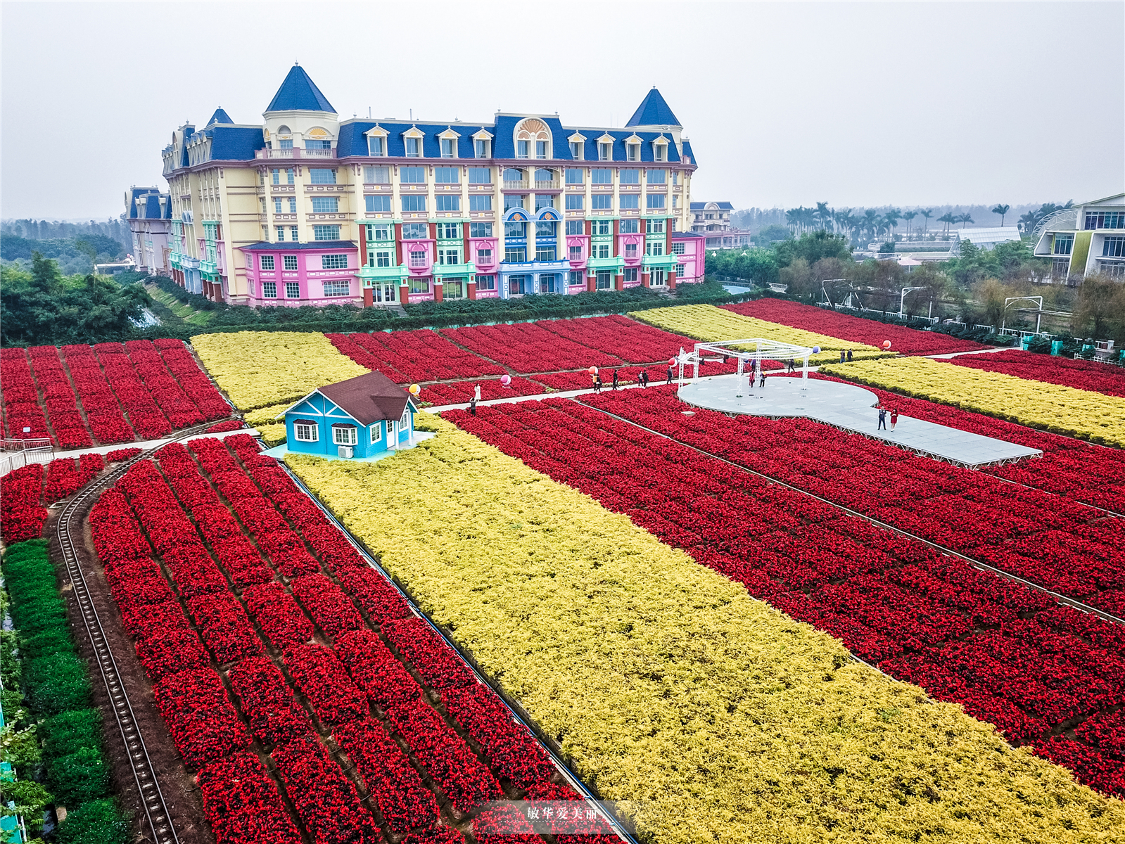 百万葵园攻略地图大全,百万葵园游玩注意事项