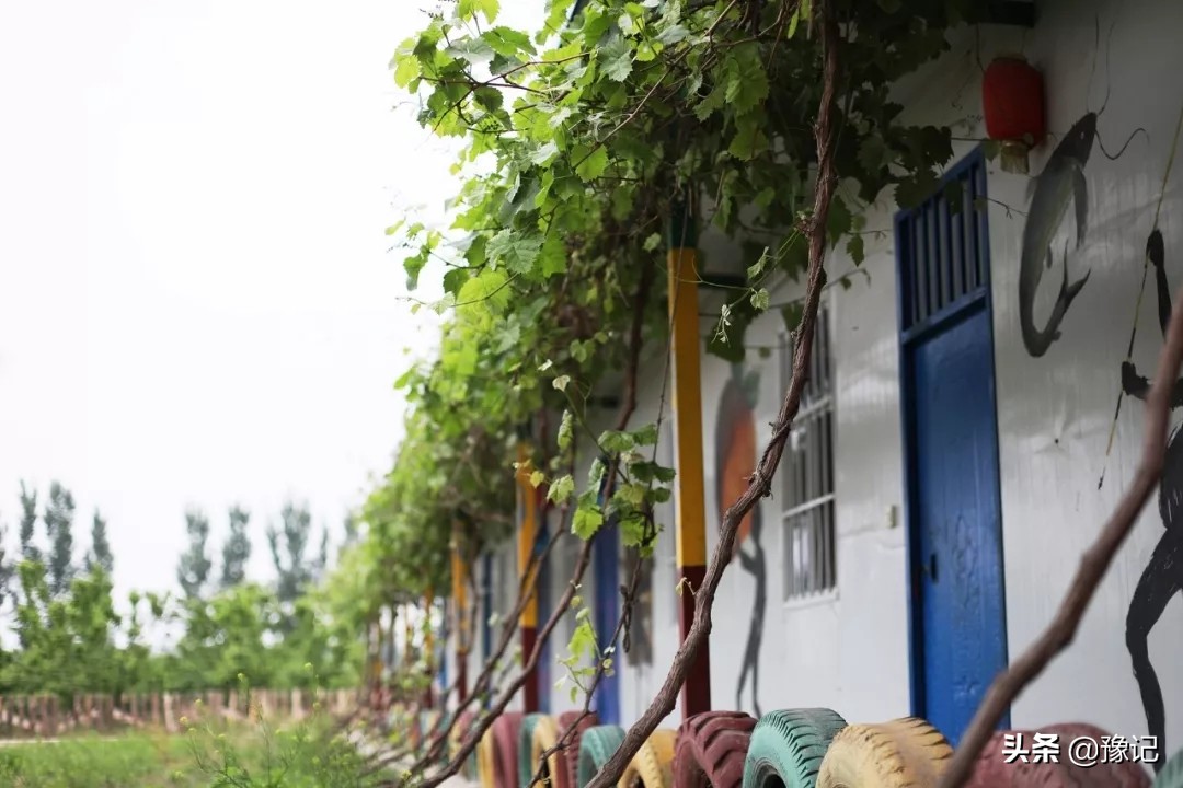 蒙古包烤全羊郑州,北京吃烤全羊的蒙古包