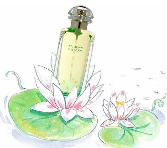 什么香水味道最吸引男性,肖战同款拉夫劳伦香水