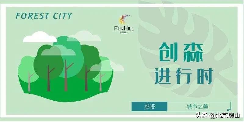 房山区长阳公园郁金香花,房山长阳公园郁金香花开了吗