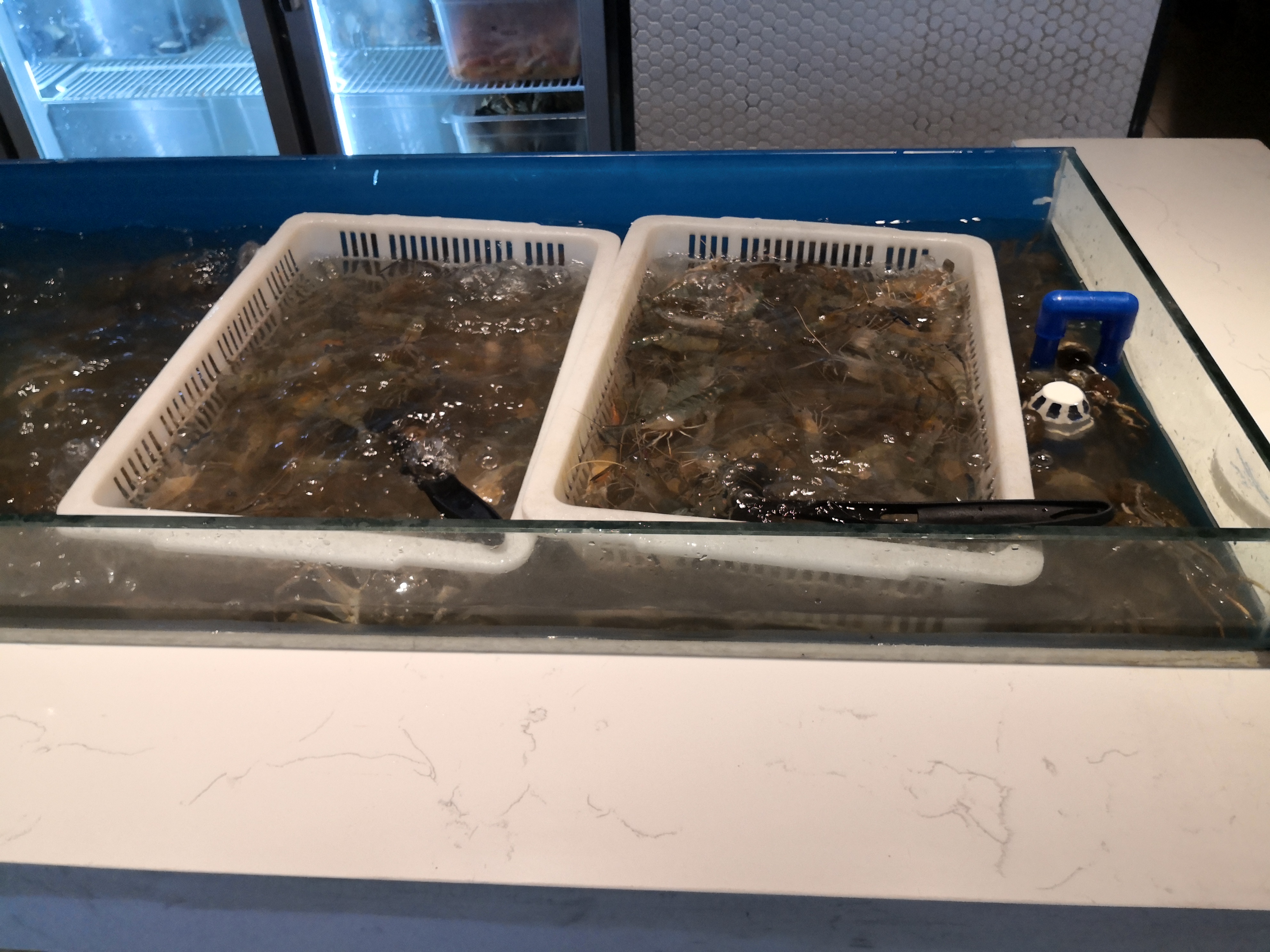 星伦多海鲜自助便宜,星伦多海鲜自助餐厅海鲜怎么吃