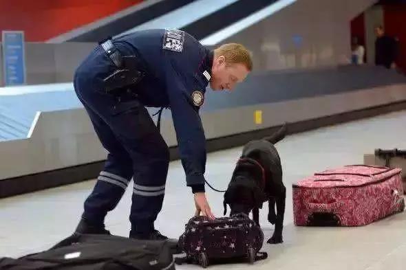 出境游千万别带这些小心被遣返,出国旅行带多少行李不会被遣返