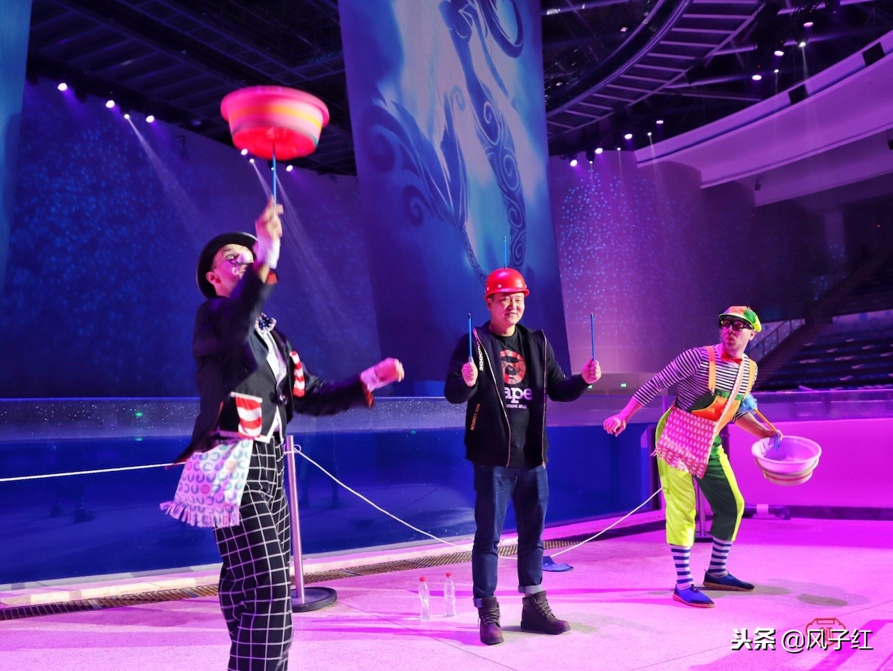 上海新地标丨海昌海洋公园一日游园玩法攻略