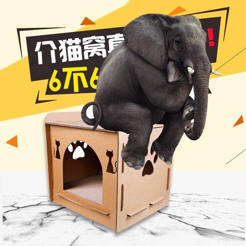 猫最好用什么猫窝,各种猫窝的视频大全