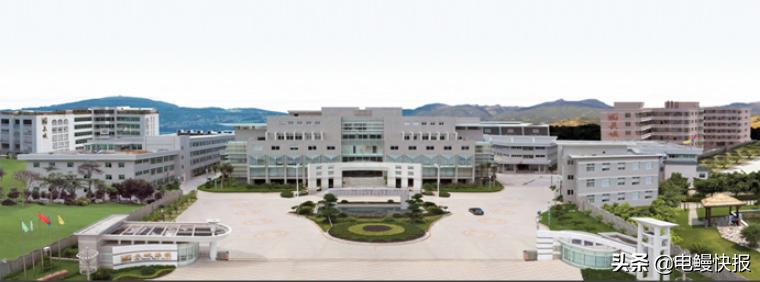 文化长城如何捍卫股东的利益长城法律成为最后一道防线