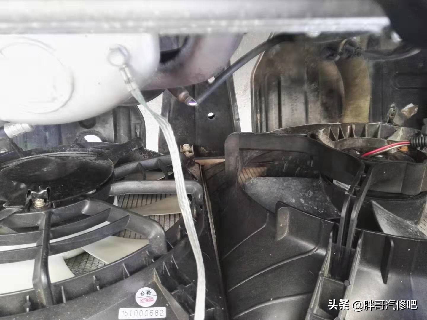 胖哥推荐两厢车,胖哥试驾铃木雨燕