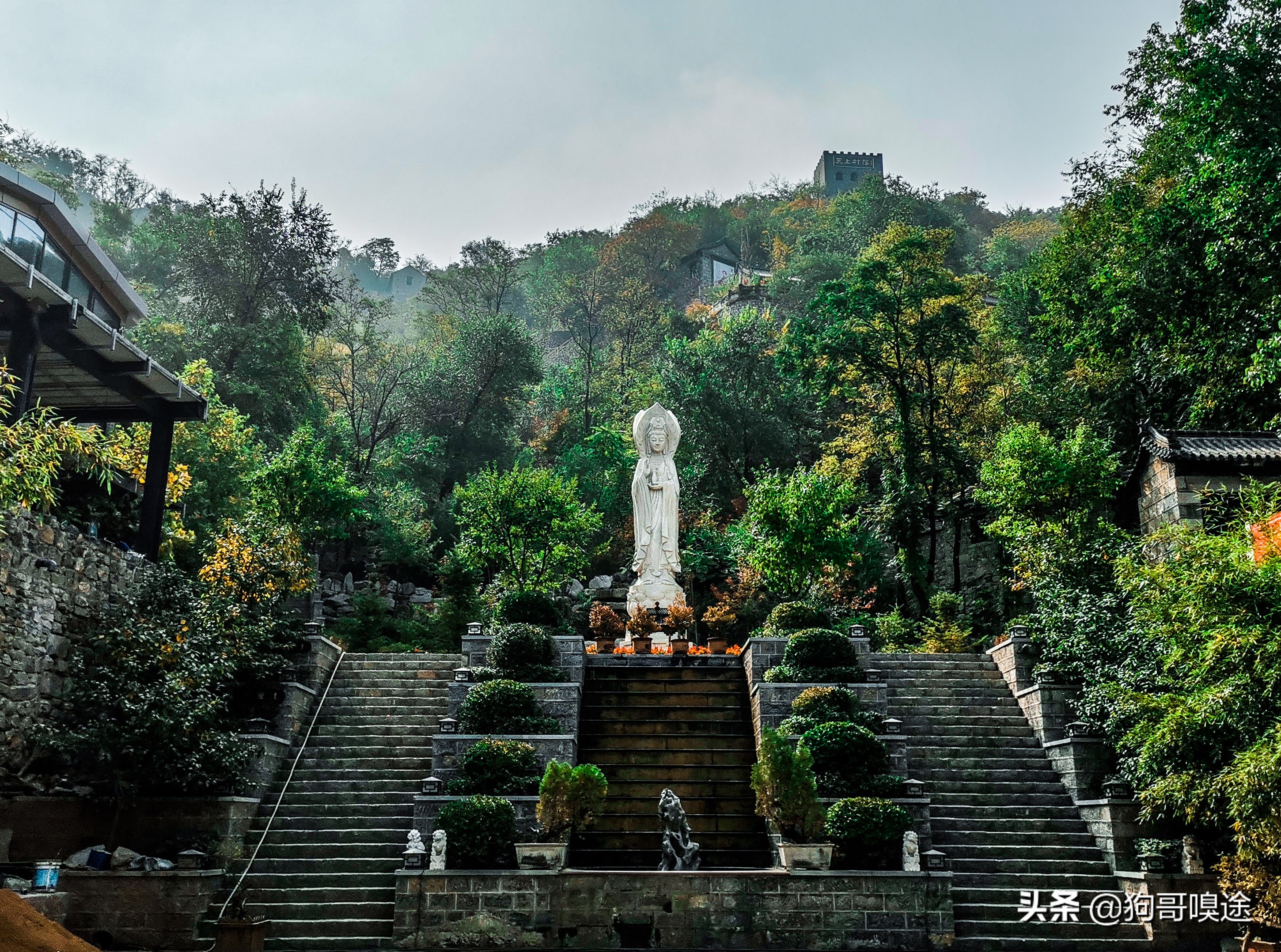 淄博避暑野餐哪里好玩,淄博夏天山里好玩的地方