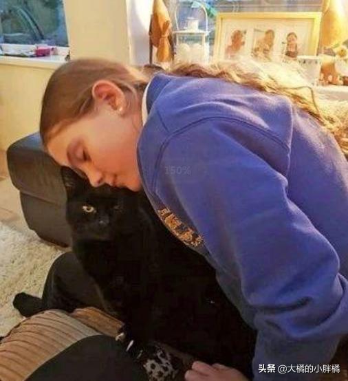 猫咪失踪20年后再次找到猫,爱猫走失11年再见到主人时