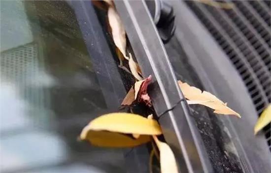 雨刮器玻璃上的痕迹怎么去除,雨刮片刮玻璃响声大怎样消除