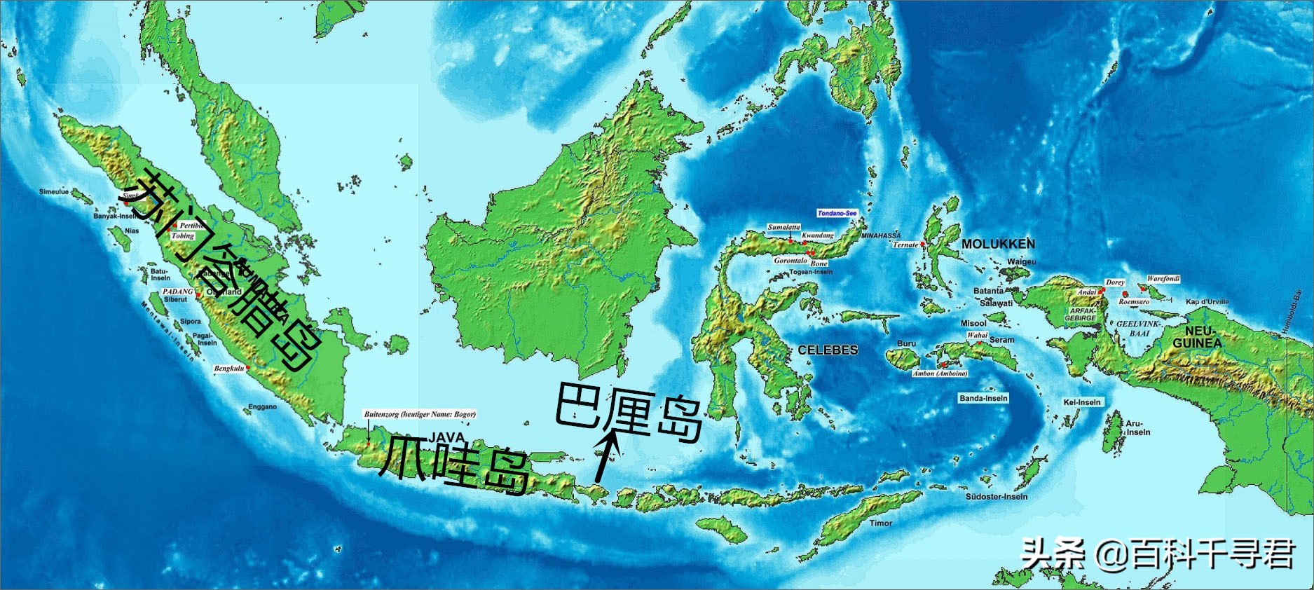 如何让灭绝的物种复活,怎样才能复活灭绝后的动物