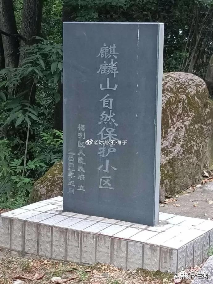 三明麒麟山公园鸟瞰,麒麟山公园三明门票