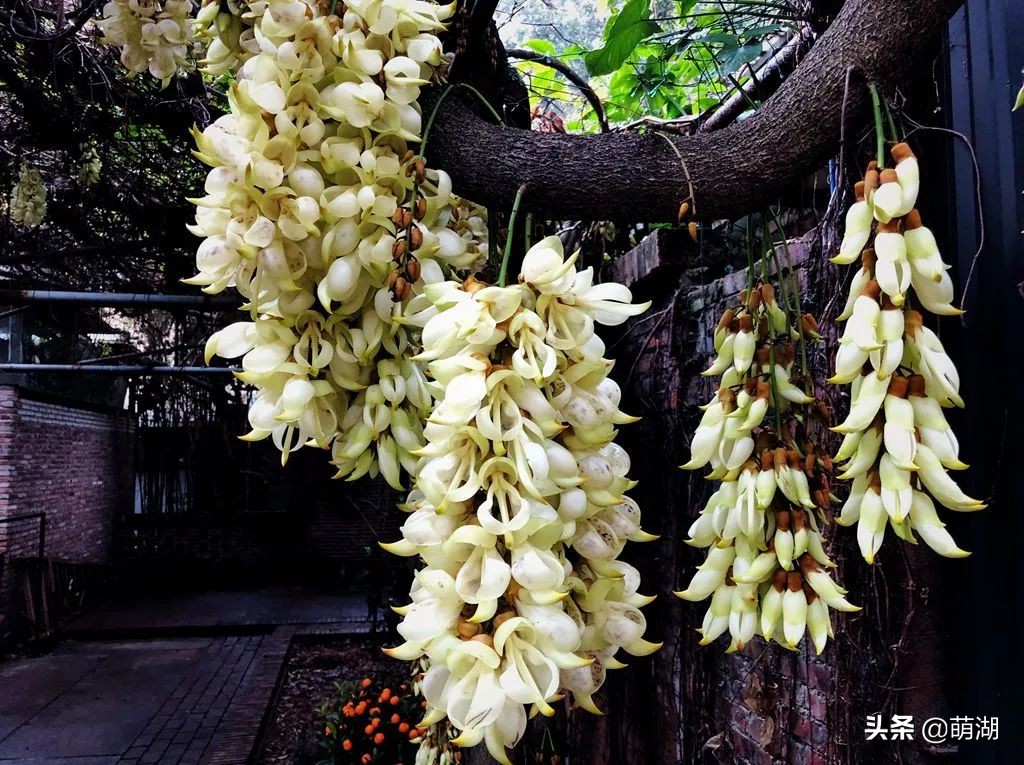 10年红专厂│广州文艺青年的圣地，在一步步远去