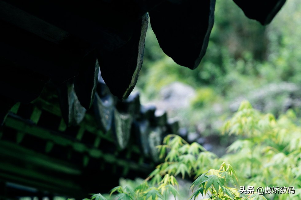 拙政园最让人欣赏的地方,拙政园十大特色