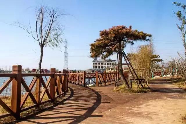 最全大荔旅游攻略拿走不谢,大荔必去4个景点