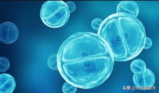 试管取完卵卵巢多久会恢复好,试管取完卵对卵巢有多大伤害